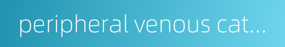 peripheral venous catheter的同义词