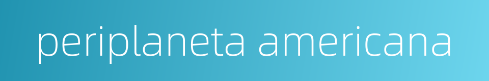 periplaneta americana的同义词