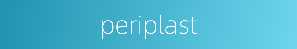 periplast的同义词