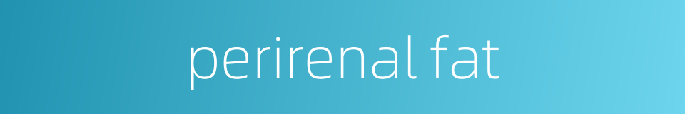 perirenal fat的同义词