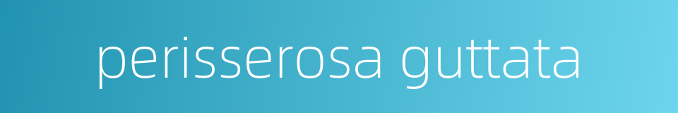 perisserosa guttata的同义词
