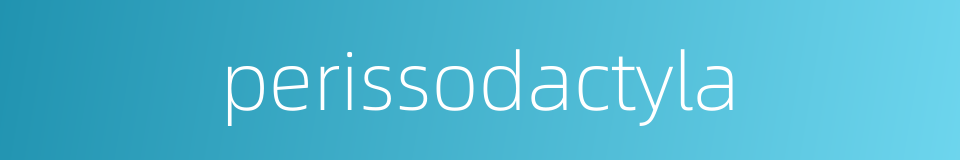 perissodactyla的同义词