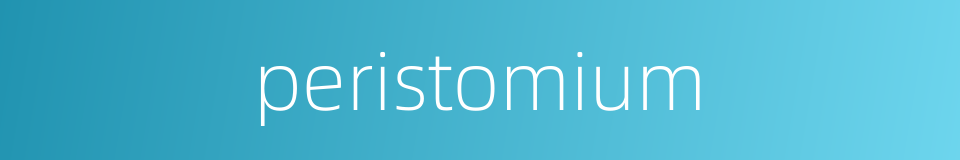 peristomium的同义词