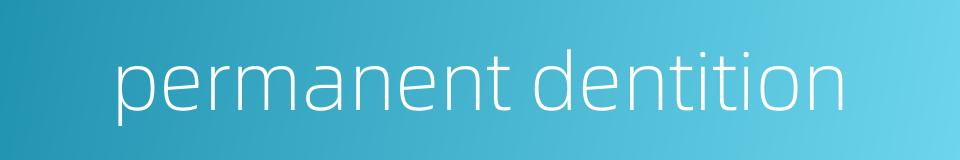 permanent dentition的同义词