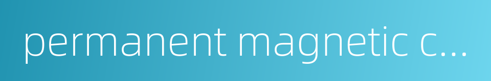 permanent magnetic chuck的同义词
