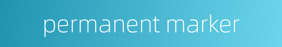 permanent marker的同义词