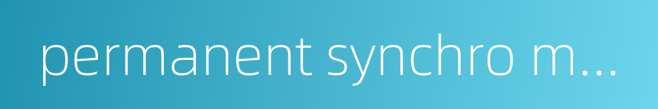 permanent synchro motor的同义词