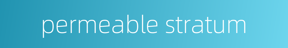 permeable stratum的同义词