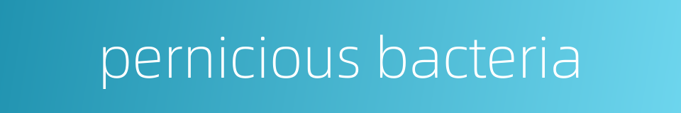 pernicious bacteria的同义词