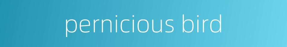 pernicious bird的同义词