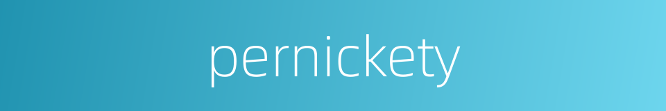 pernickety的同义词