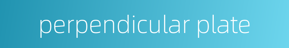 perpendicular plate的同义词