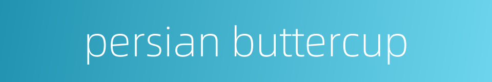 persian buttercup的同义词