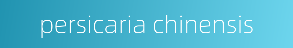 persicaria chinensis的同义词