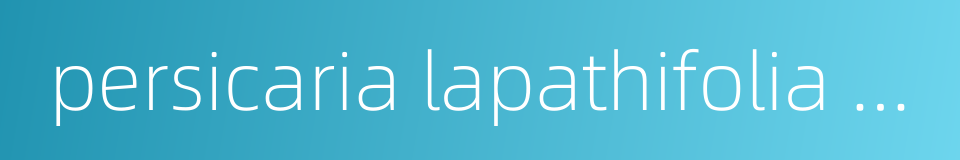 persicaria lapathifolia s f gray的同义词