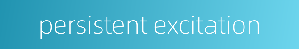 persistent excitation的同义词