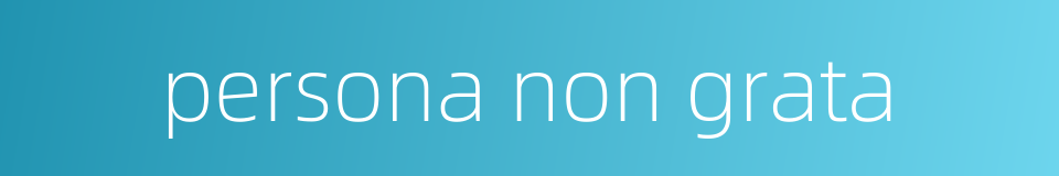 persona non grata的同义词