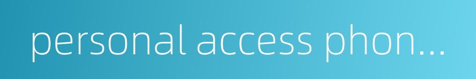 personal access phone system的同义词