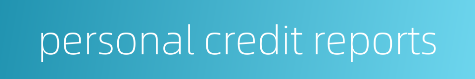 personal credit reports的同义词