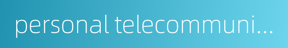 personal telecommunication number的同义词