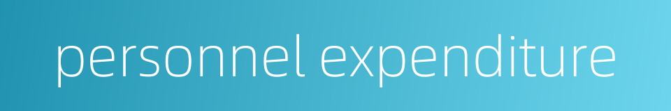 personnel expenditure的同义词