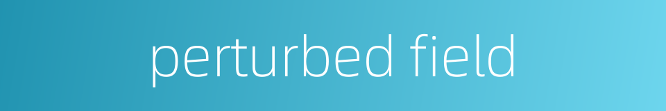 perturbed field的同义词