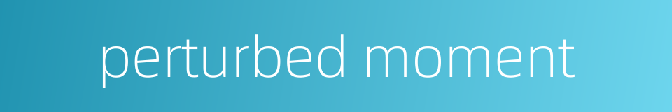 perturbed moment的同义词