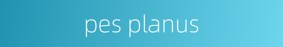 pes planus的同义词