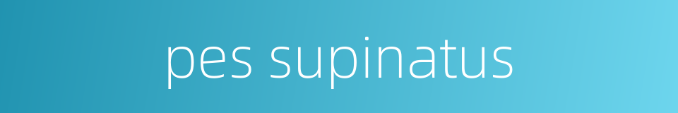 pes supinatus的同义词