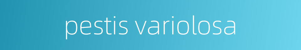 pestis variolosa的同义词