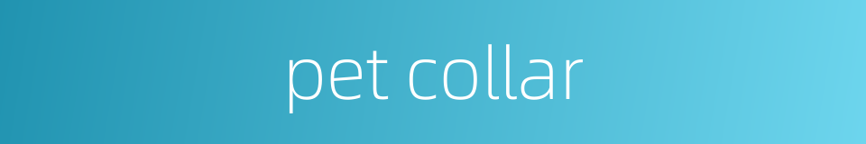 pet collar的同义词