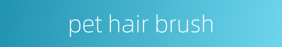 pet hair brush的同义词