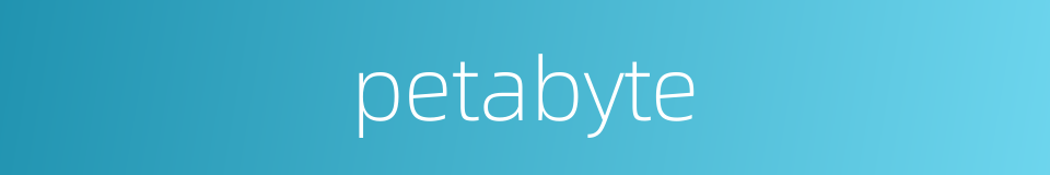 petabyte的同义词