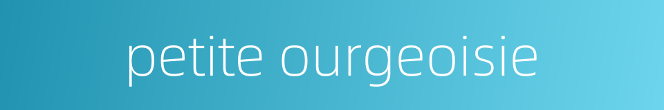 petite ourgeoisie的同义词