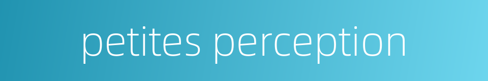 petites perception的同义词