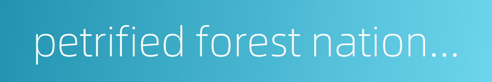 petrified forest national park的同义词