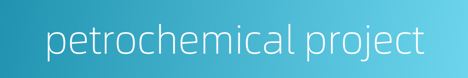 petrochemical project的同义词