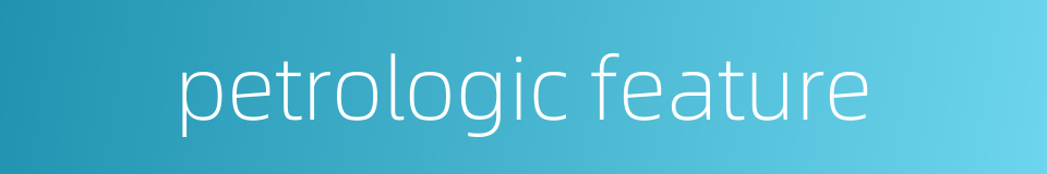 petrologic feature的同义词