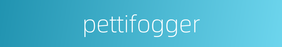 pettifogger的同义词