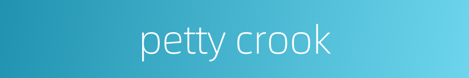 petty crook的同义词