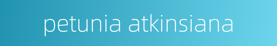 petunia atkinsiana的同义词