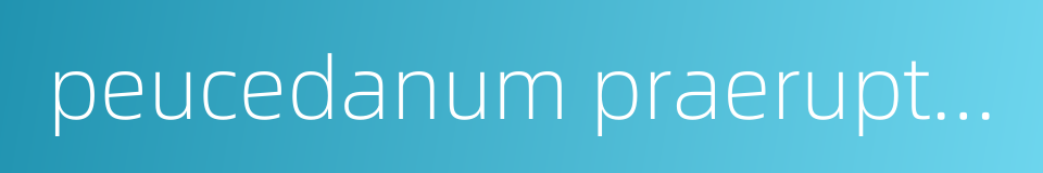 peucedanum praeruptorum dunn的同义词