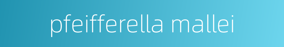 pfeifferella mallei的同义词