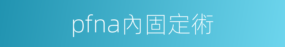 pfna內固定術的同義詞