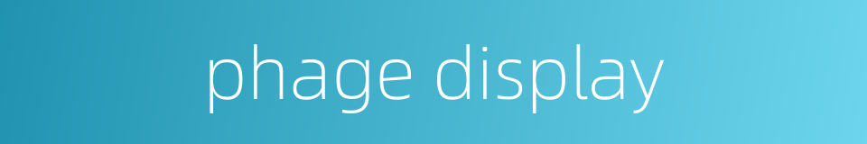 phage display的同义词