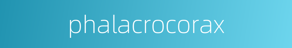 phalacrocorax的同义词
