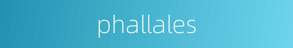 phallales的同义词