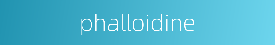 phalloidine的同义词
