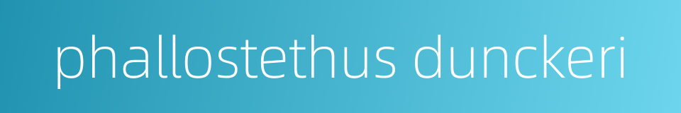 phallostethus dunckeri的同义词
