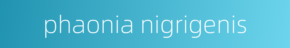 phaonia nigrigenis的同义词